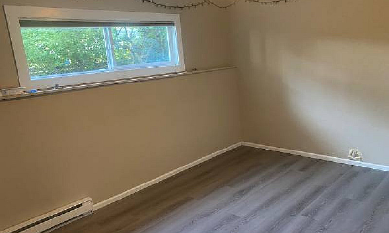 4 Beds 2 Bath Suite...