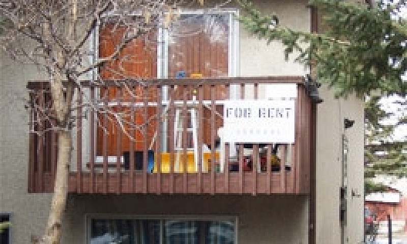 Half Duplex - Albert...