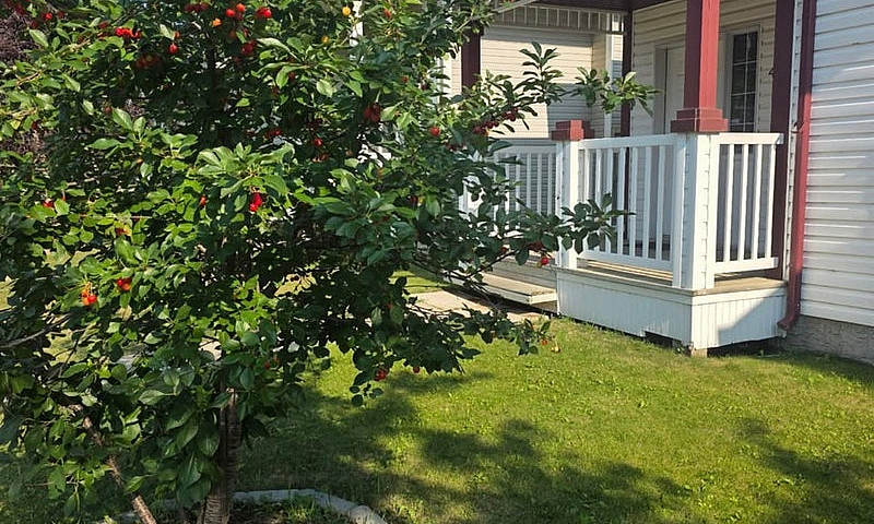 Pet Friendly - 3 Bed...