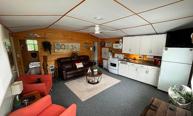 Cabin For Sale Minne...