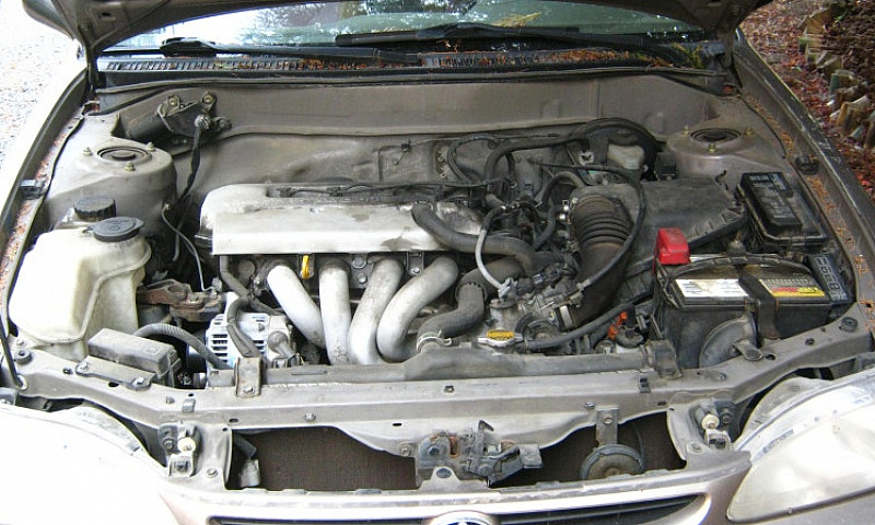 1998 Corolla. Great ...