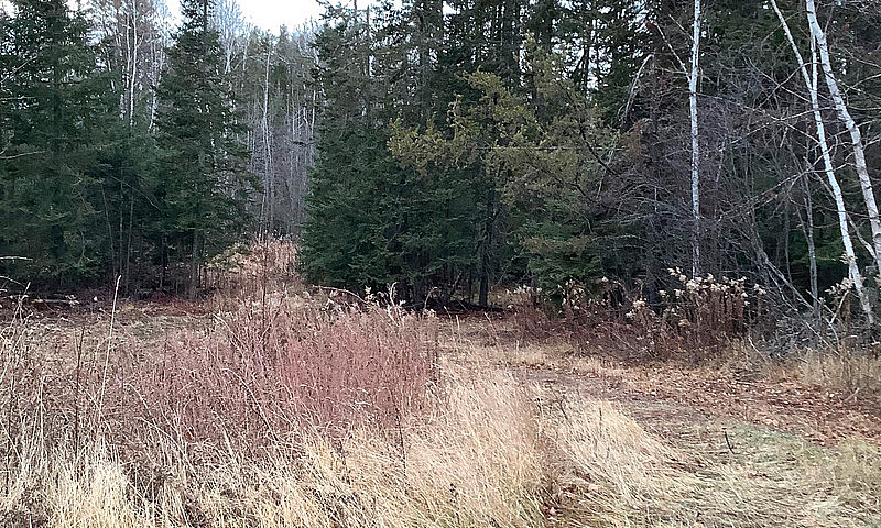  3-Acre Building Lot...