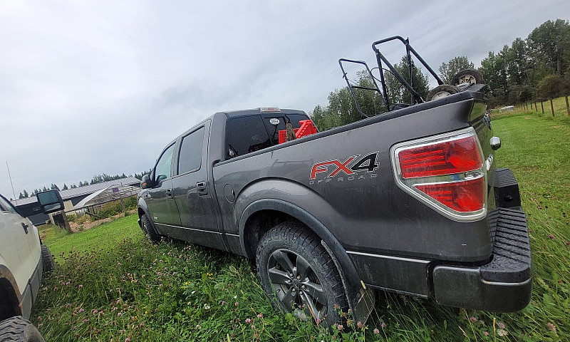 2013 Ford F150 Ecobo...