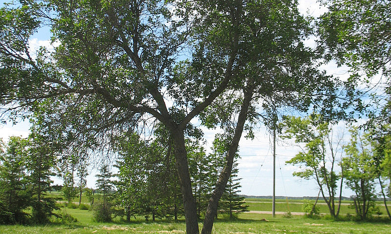 For Sale 1 Acre Lot ...
