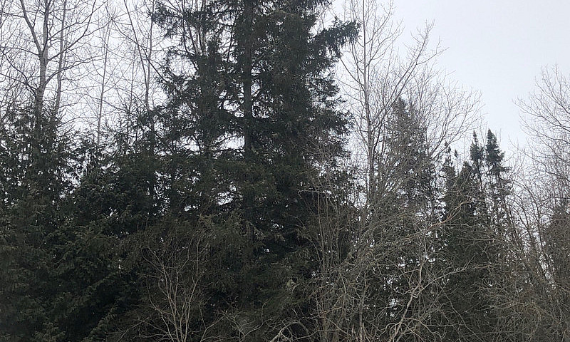 30 Acres On Upton Rd...