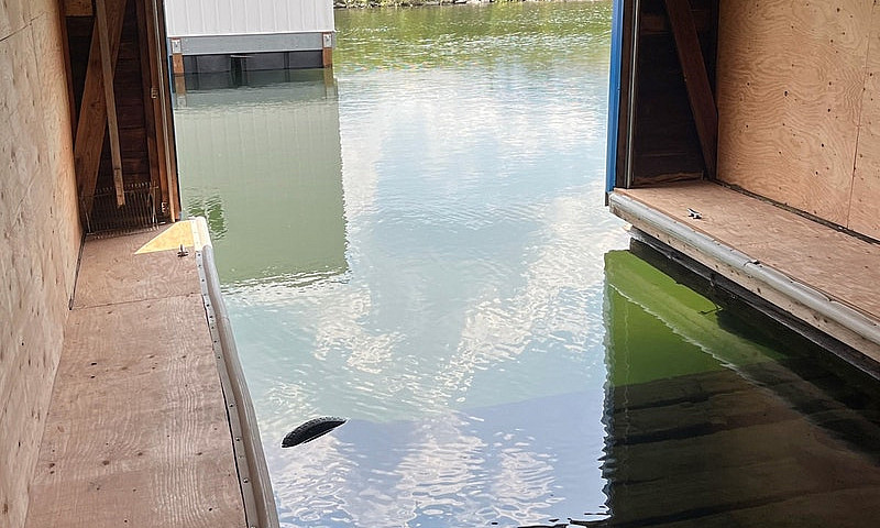 Renovated Boathouse ...