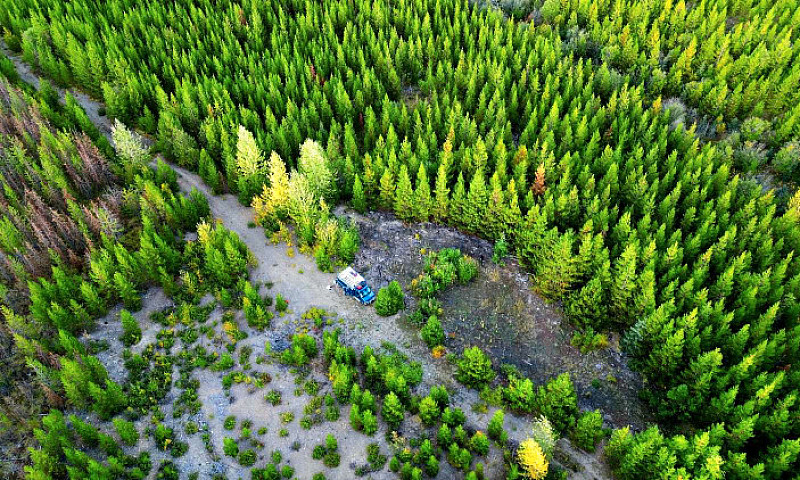 Off Grid Land In Bc...