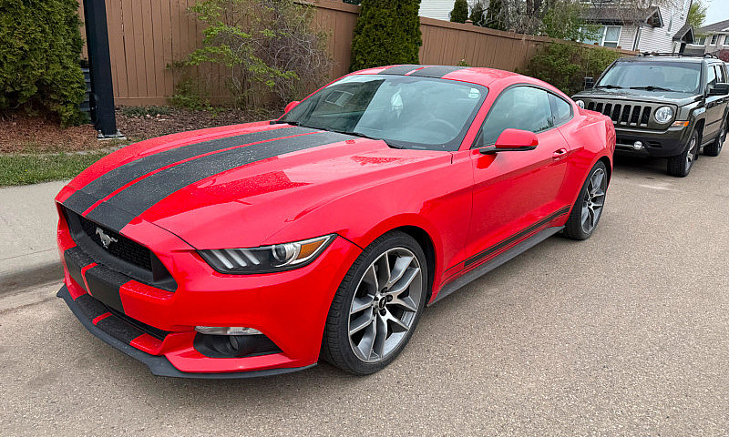 2015 Mustang Ecoboos...