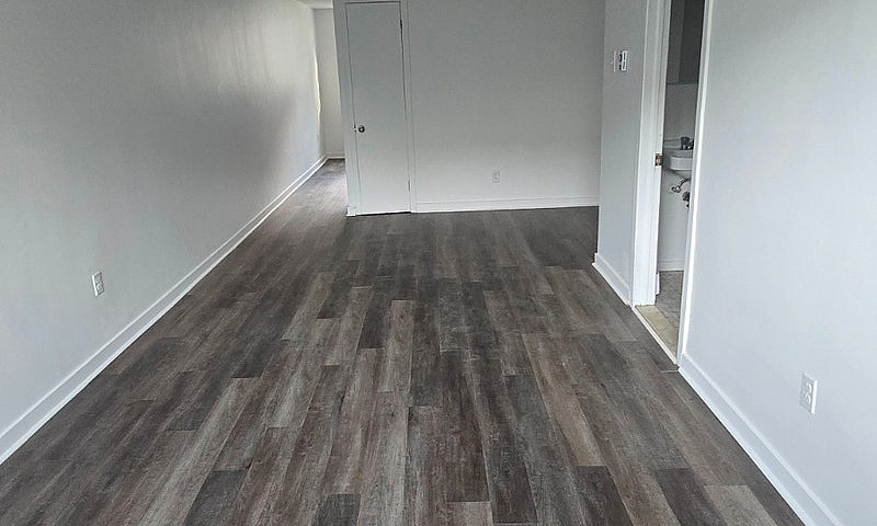 3 1/2 Bachelor Basem...