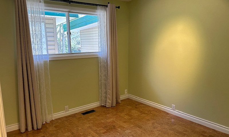 Walk-Out Bungalow On...