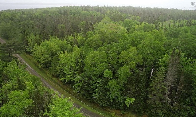 3 Acres With Deeded ...