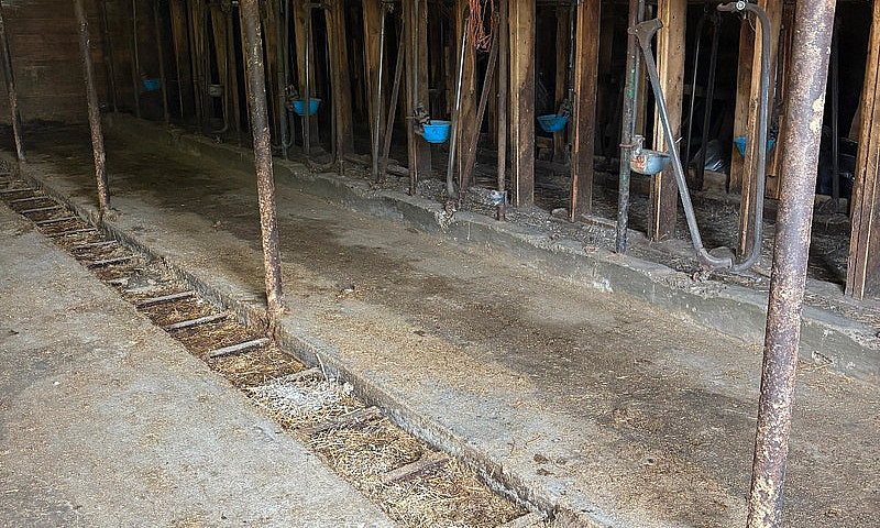 Barn And 55 Acres Of...