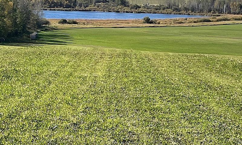 Land For Sale...