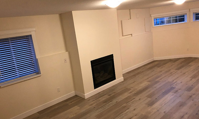 Beautiful Basement S...