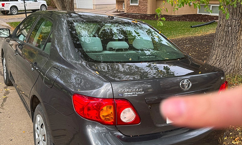 2010 Toyota Corolla ...