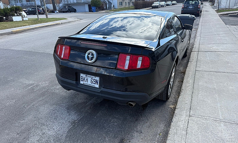 Mustang V6...