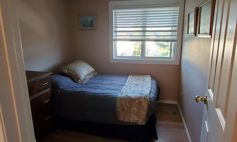3 Bedroom Furnished ...