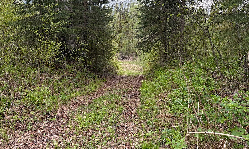 Off Grid Property...