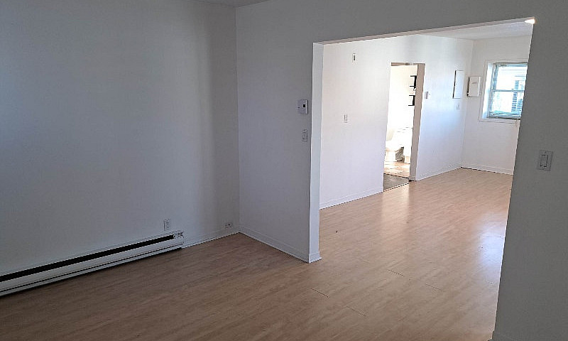 1 Bedroom Apartment ...