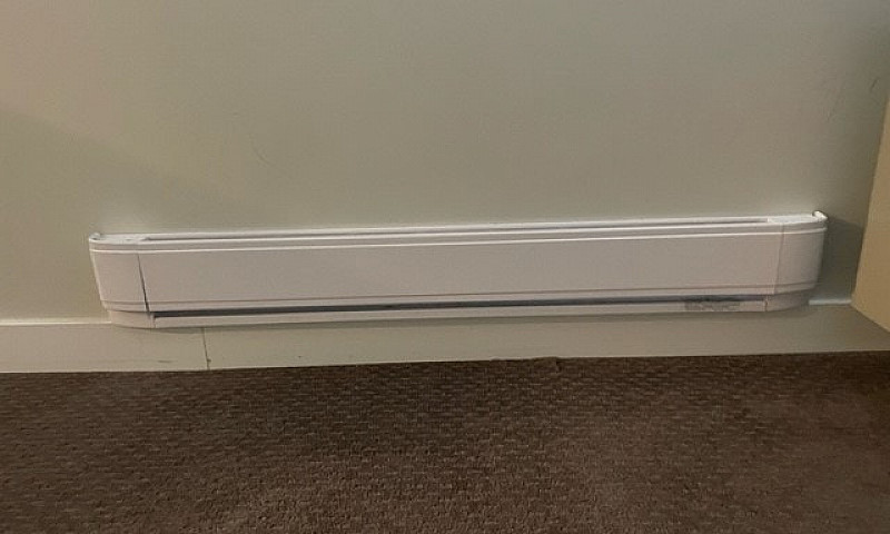 2 Bedroom Basement F...