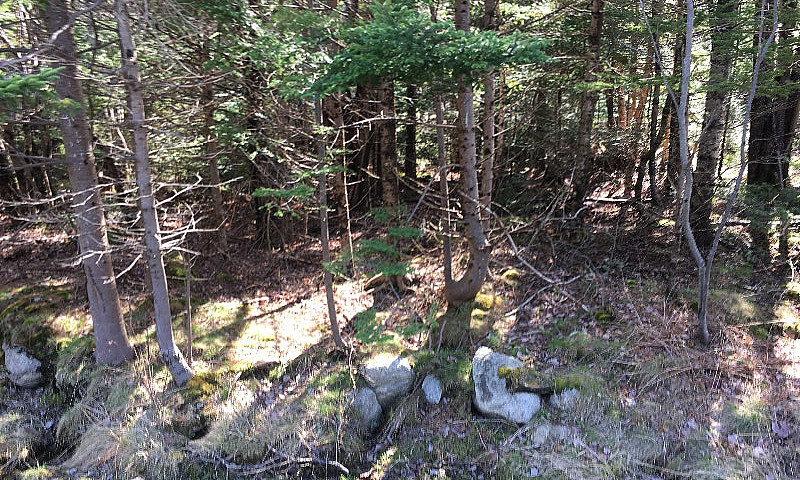 Land For Sale...