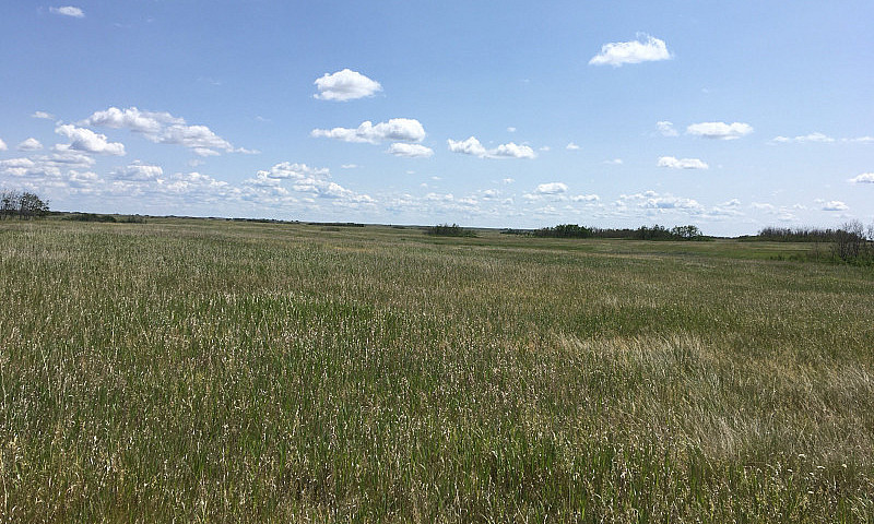 Pasture Land For Sal...