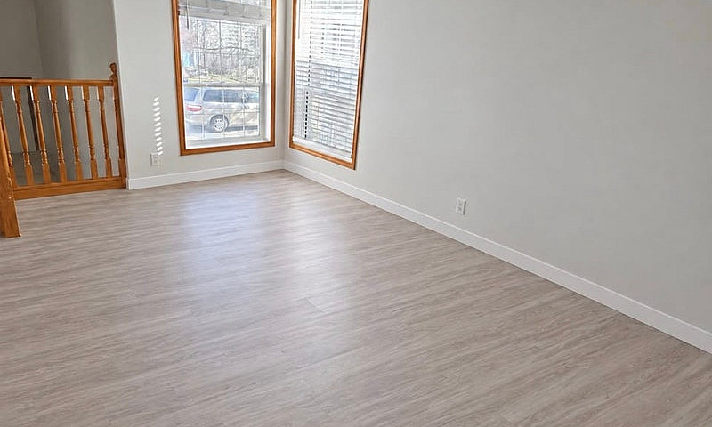 Pet Friendly - 3 Bed...
