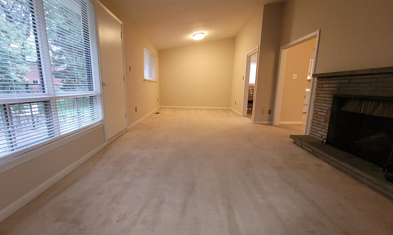 Premium 1,200 Sq Ft ...