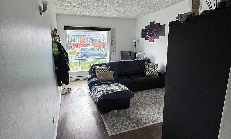 Grand Logement 4 1/2...