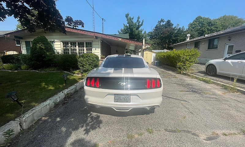 2017 Ford Mustang...