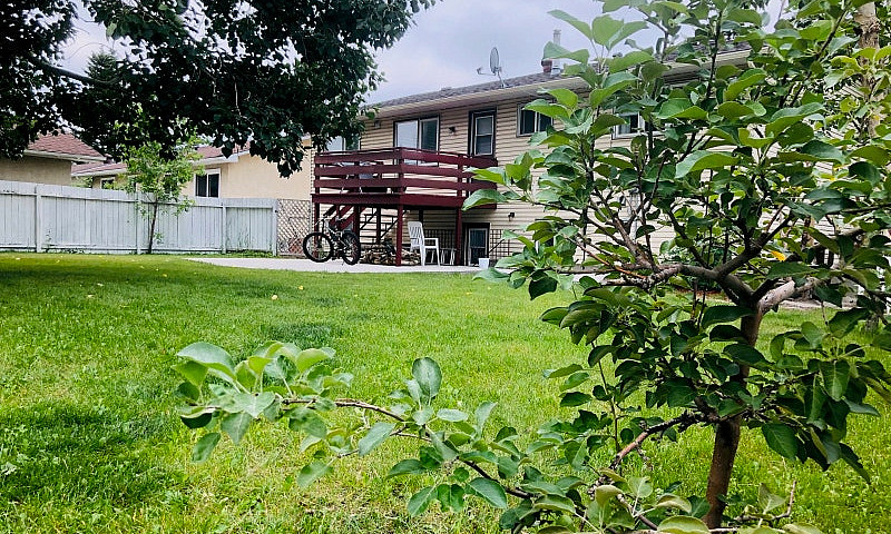 Fully Furnished 3-Be...