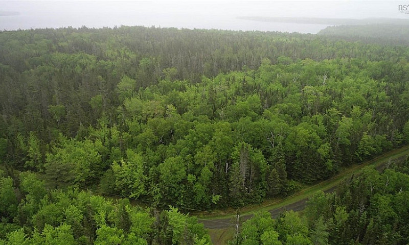 Just Over Three Acre...