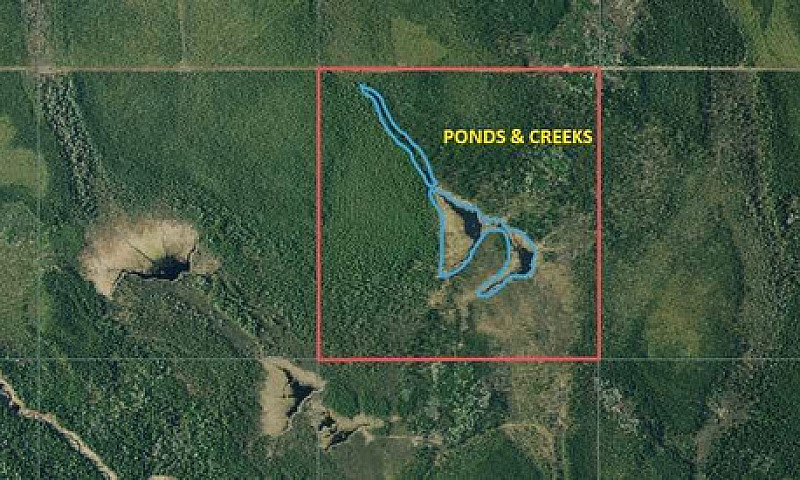 164 Acre Natural Par...