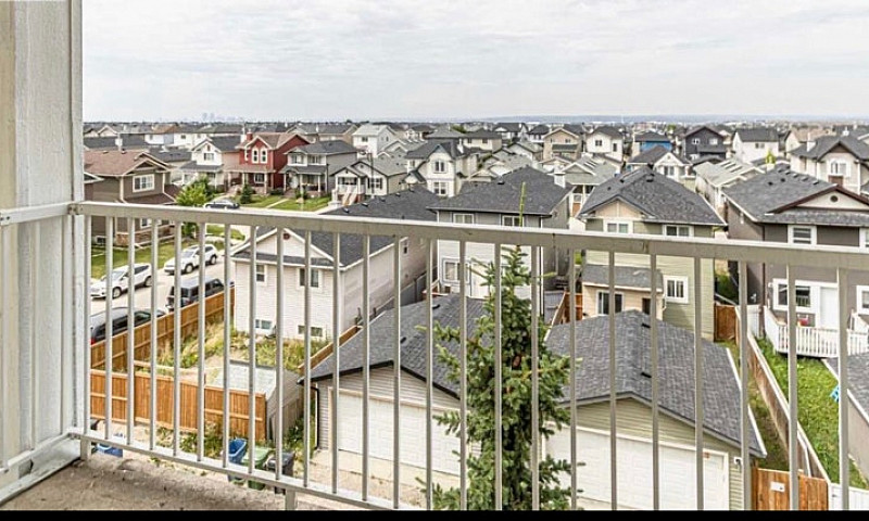 Rent Apartment...