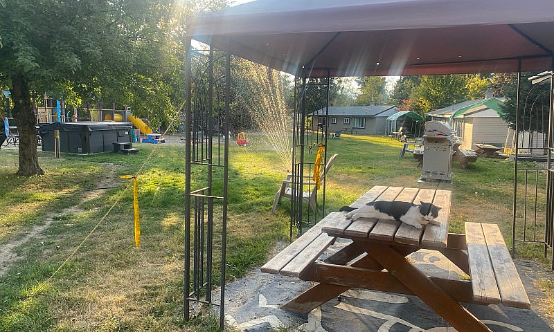 Cabin To Rent! Locat...