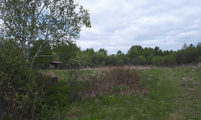Land For Sale ...