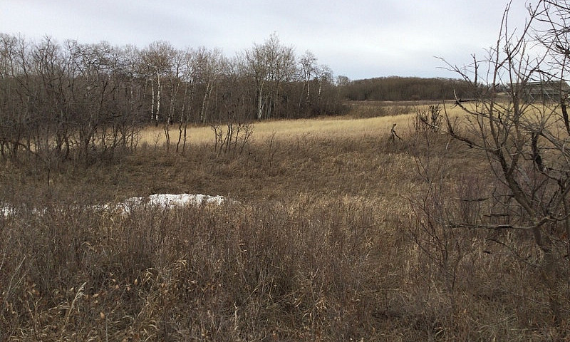 Acreage Land For Sal...