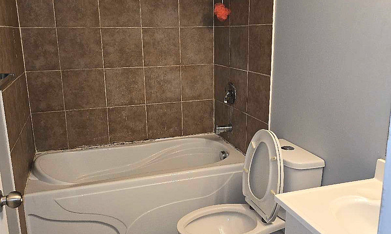 One Bedroom Basement...
