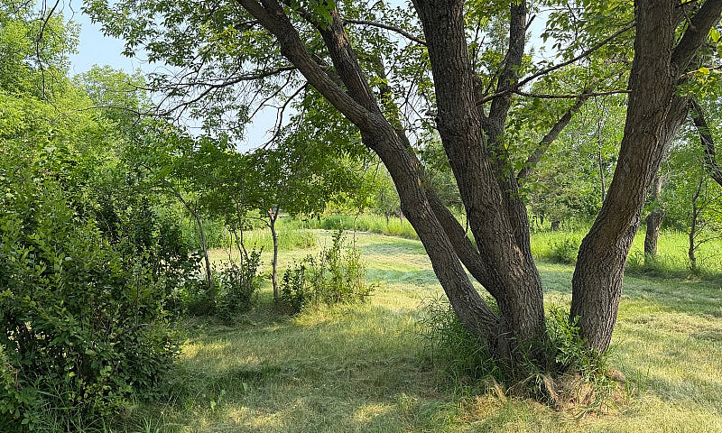 Acreage For Sale...
