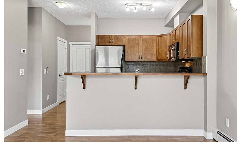 One Bedroom Plus Lar...