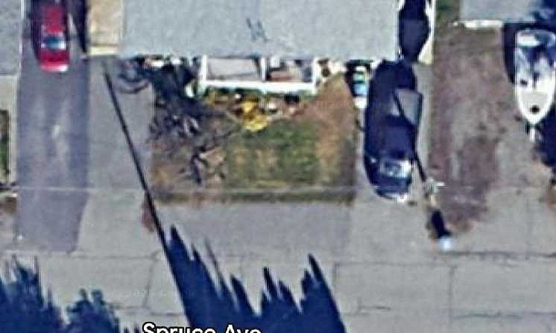 1 Bedroom Daylight S...
