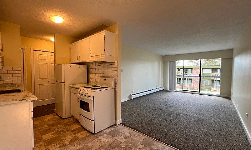 Rental Incentive! Re...