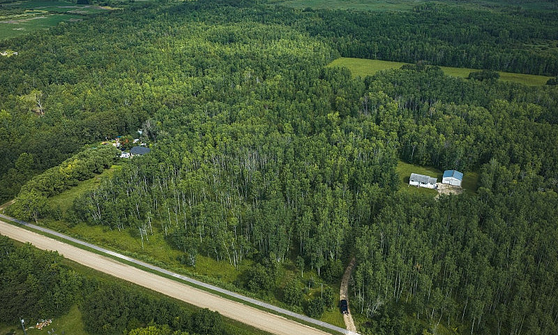6.45 Acre Treed Lot...