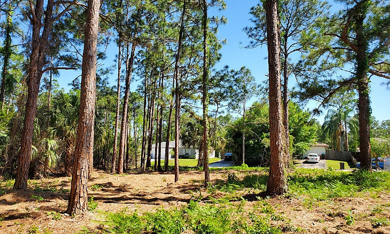 Florida Land For Sal...