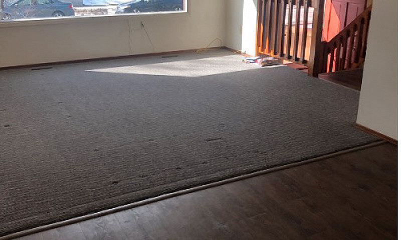 Clean, Spacious Dupl...
