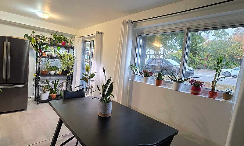 Superbe 3 ½ Moderne ...