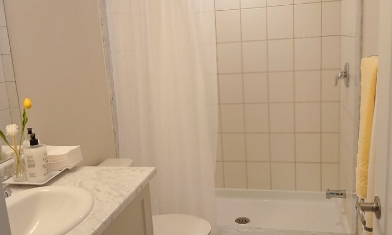 House  Avail Immed S...