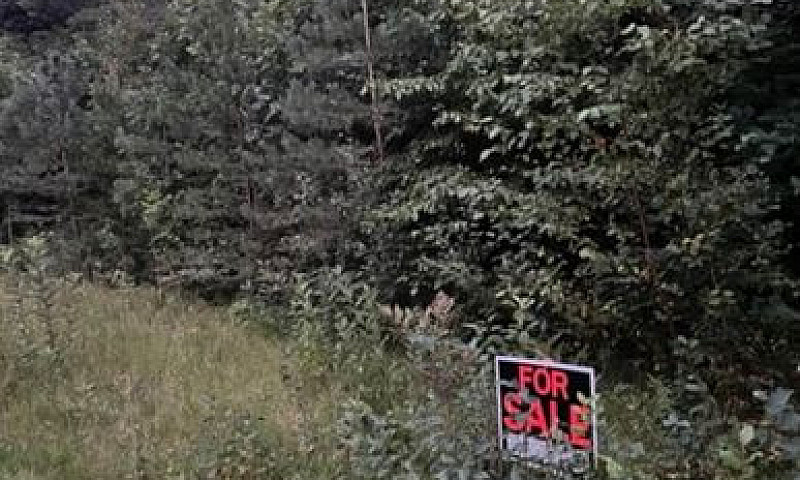 Vacant Land / Reside...
