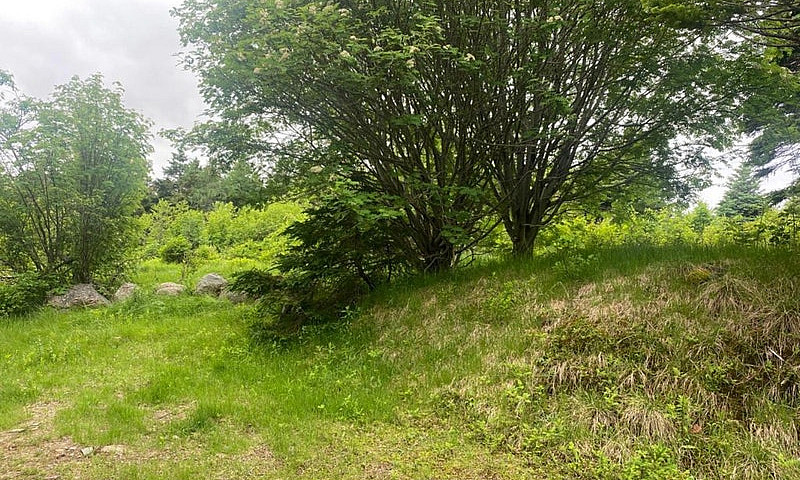 1 Acre Of Land In Be...