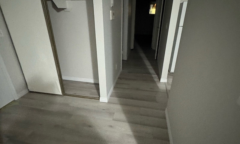 Stadium 1 Bedroom Co...